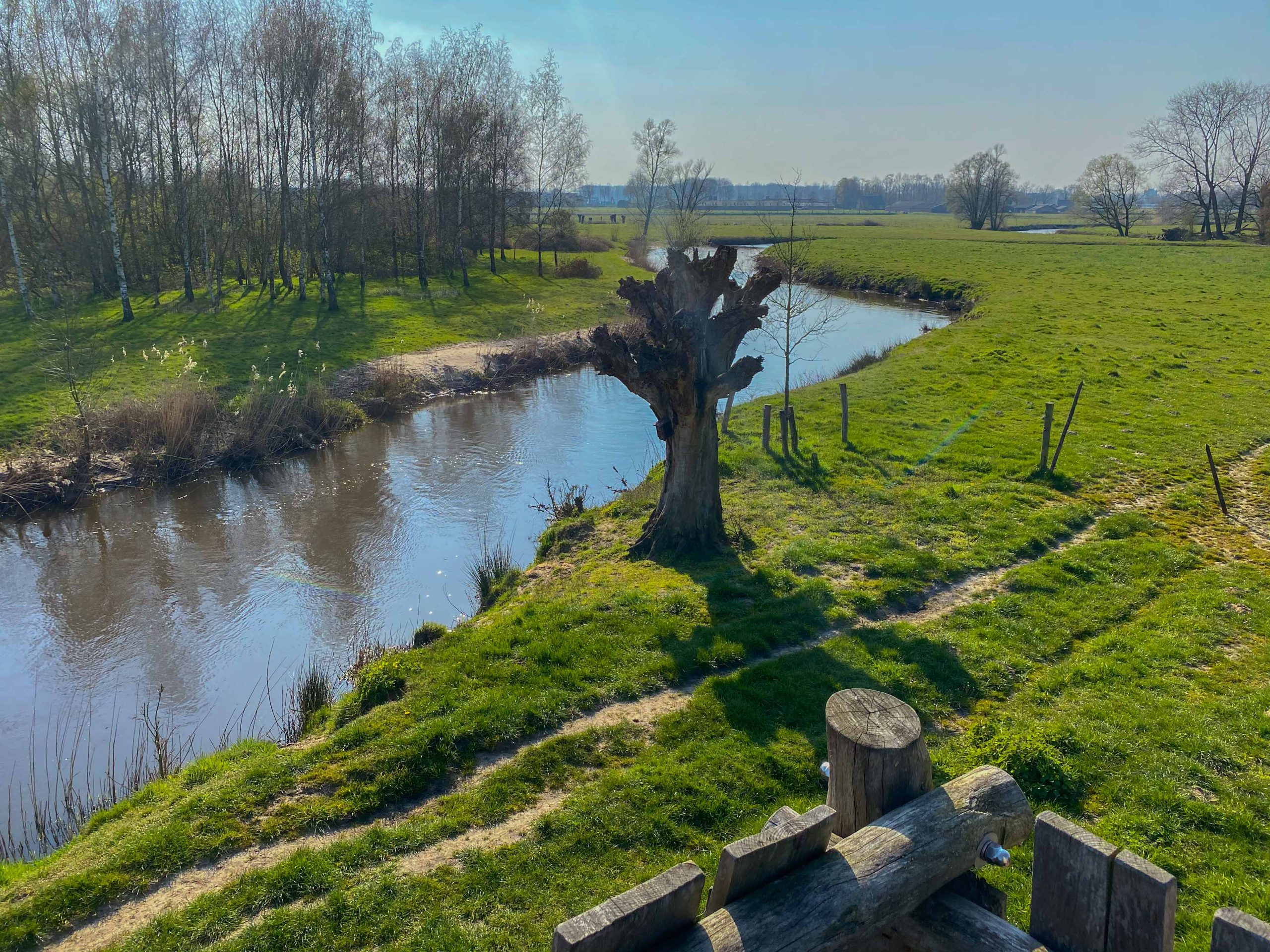 3f3fe99d df27 4bc6 a9eb d802aa2e293d